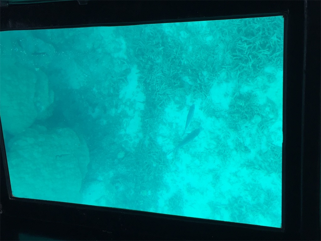 f:id:tobosya:20190825120903j:image f:id:tobosya:20190825120903j:image