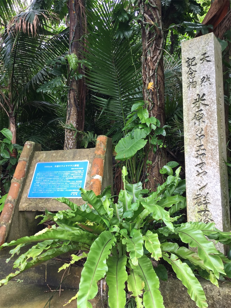 f:id:tobosya:20190825120929j:image f:id:tobosya:20190825120929j:image