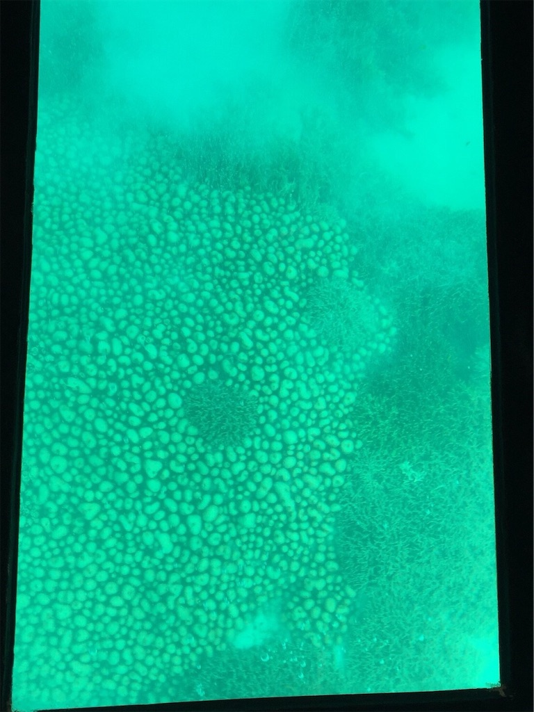 f:id:tobosya:20190825120938j:image f:id:tobosya:20190825120938j:image