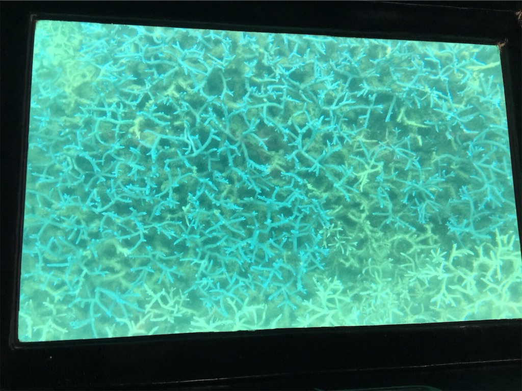 f:id:tobosya:20190825120942j:image f:id:tobosya:20190825120942j:image