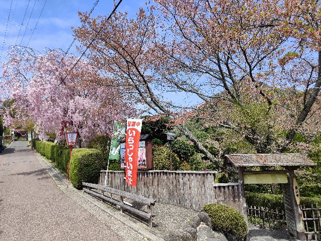 信貴山横の小道