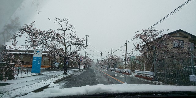 f:id:toburailwayKun:20200403165618j:image