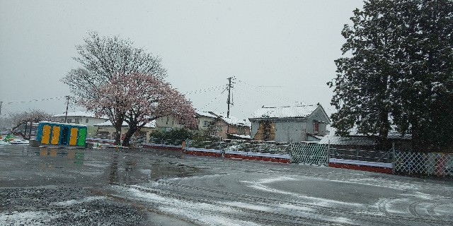 f:id:toburailwayKun:20200403165652j:image