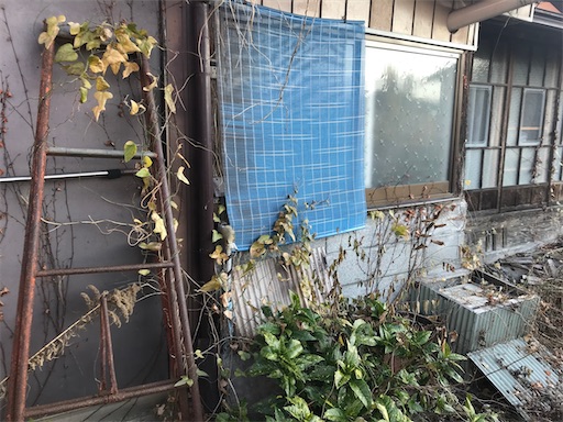 f:id:tobusakana:20220211141744j:image f:id:tobusakana:20220211141744j:image