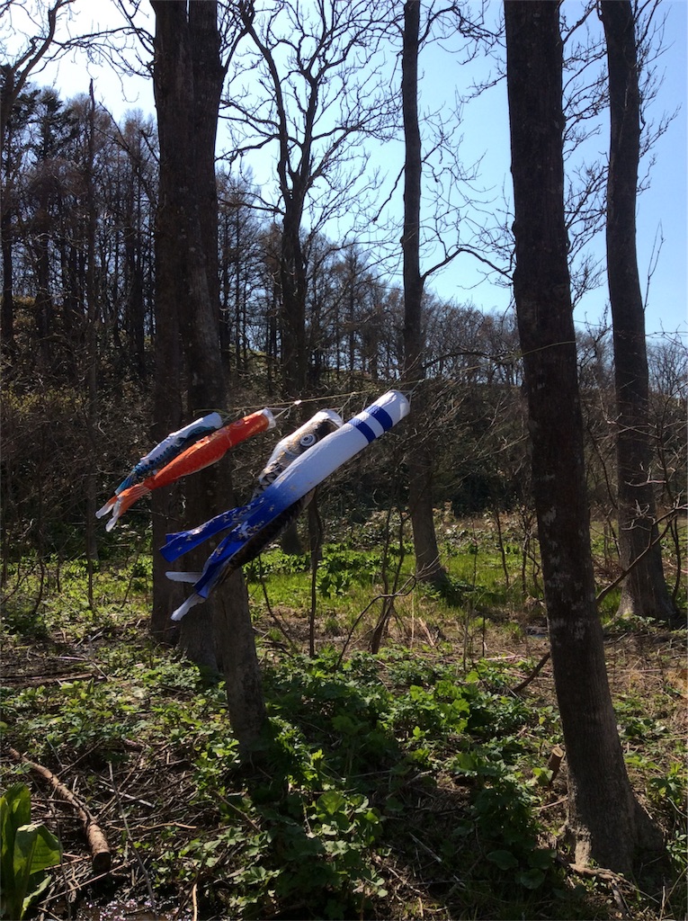 f:id:tobutorifarm:20170504221055j:image f:id:tobutorifarm:20170504221055j:image