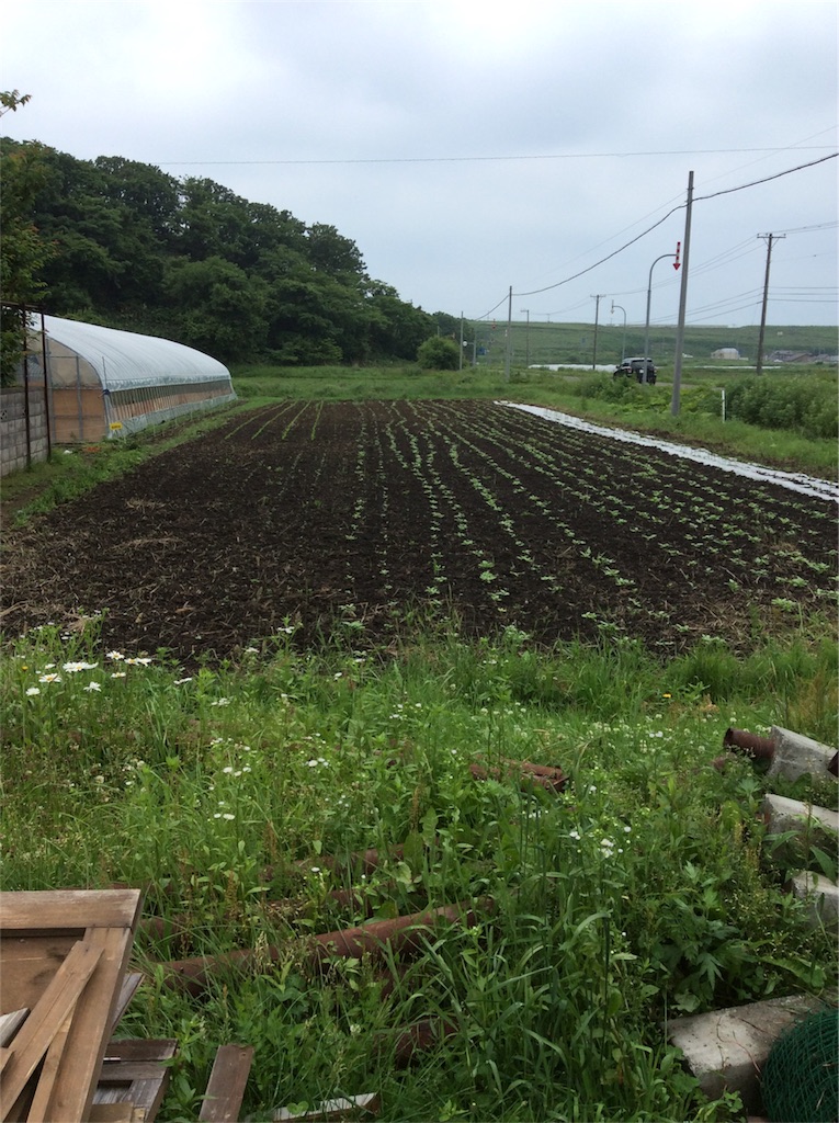 f:id:tobutorifarm:20170702103819j:image f:id:tobutorifarm:20170702103819j:image
