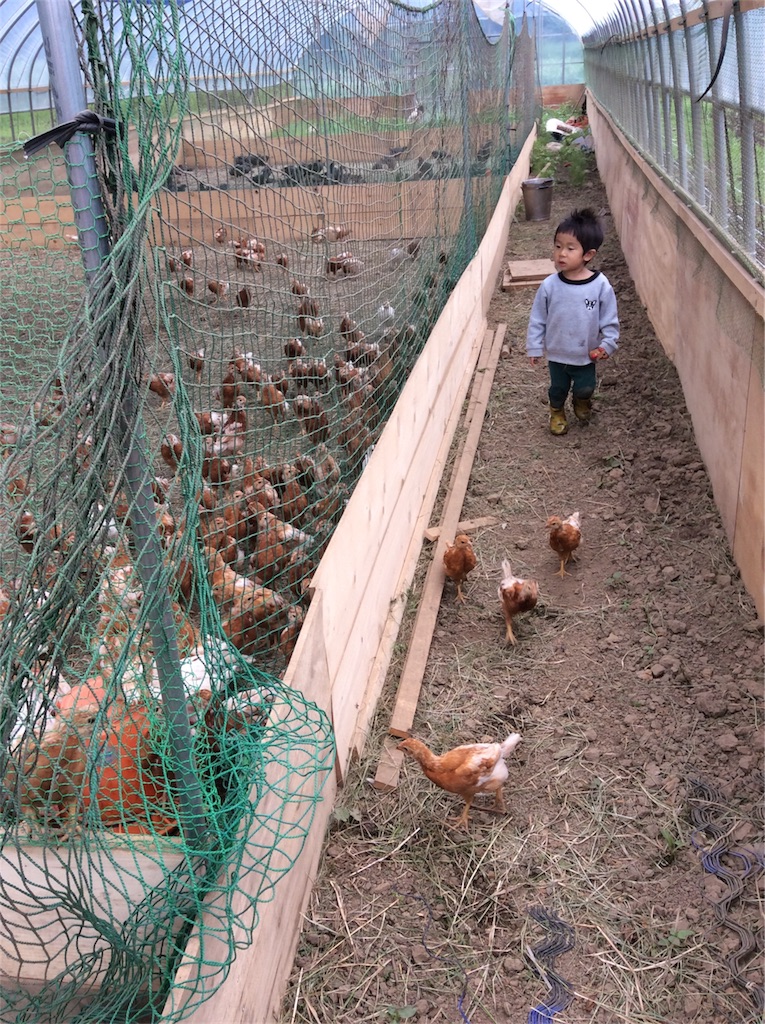f:id:tobutorifarm:20170702105612j:image f:id:tobutorifarm:20170702105612j:image