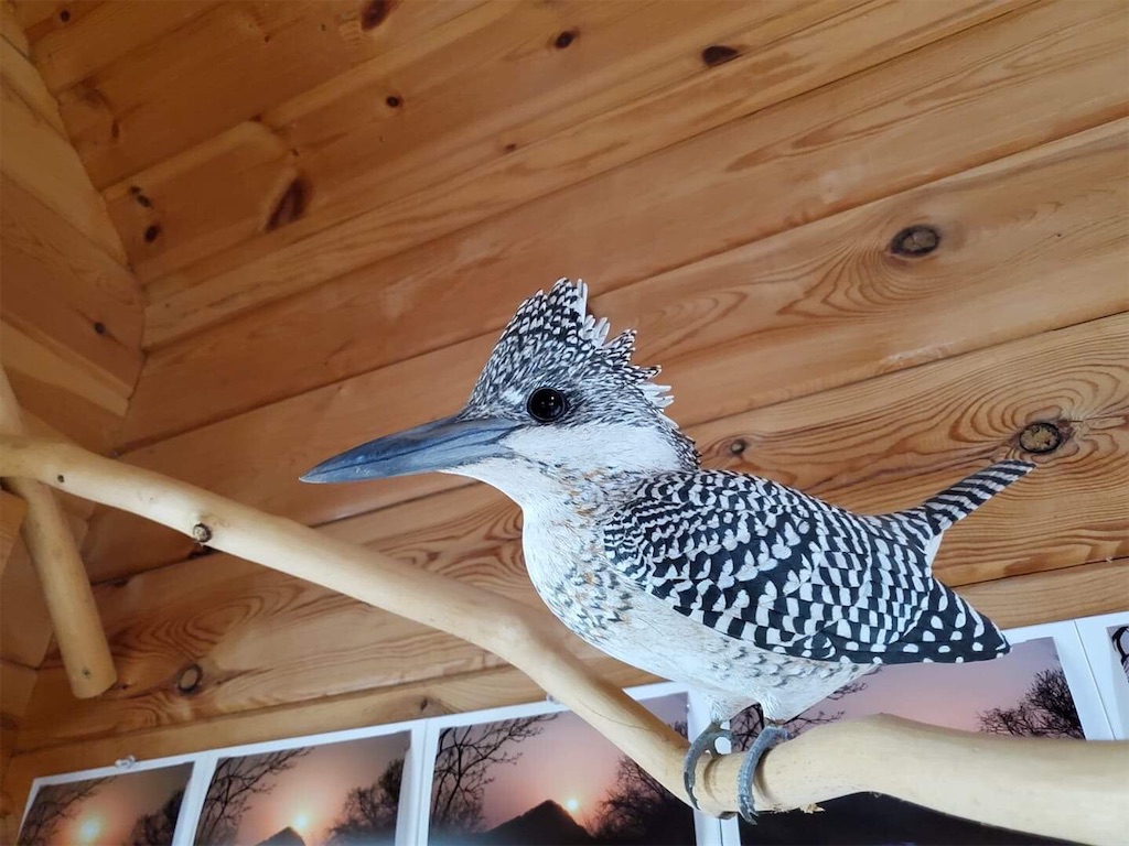 f:id:tobutorifarm:20191117094743j:image f:id:tobutorifarm:20191117094743j:image