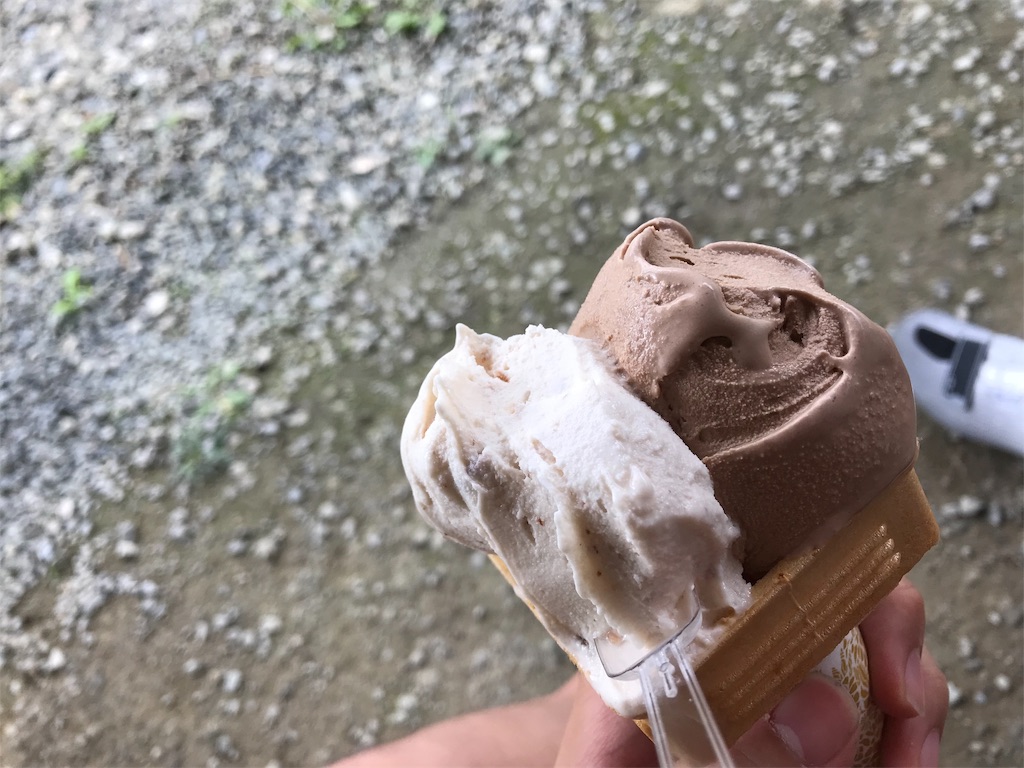 f:id:toccatina1:20190603075221j:image