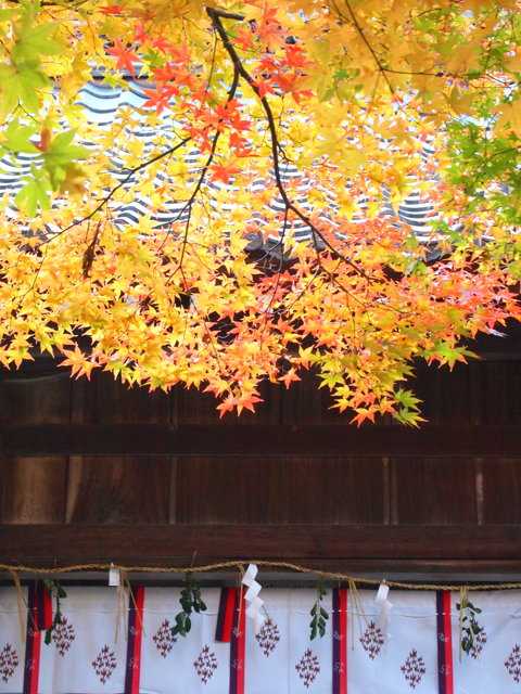 f:id:tochanboya:20101111150029j:image f:id:tochanboya:20101111150029j:image