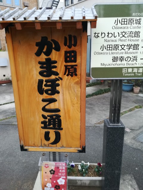 f:id:tochgin1029:20190112132750j:image f:id:tochgin1029:20190112132750j:image