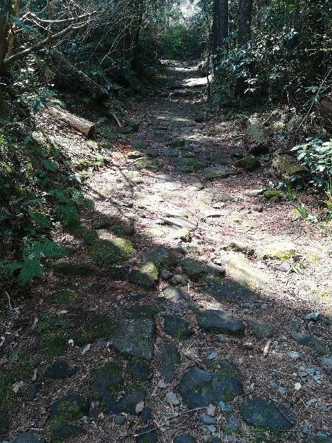 f:id:tochgin1029:20190413230034j:image