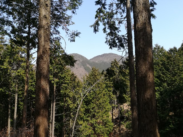 f:id:tochgin1029:20190413230205j:image