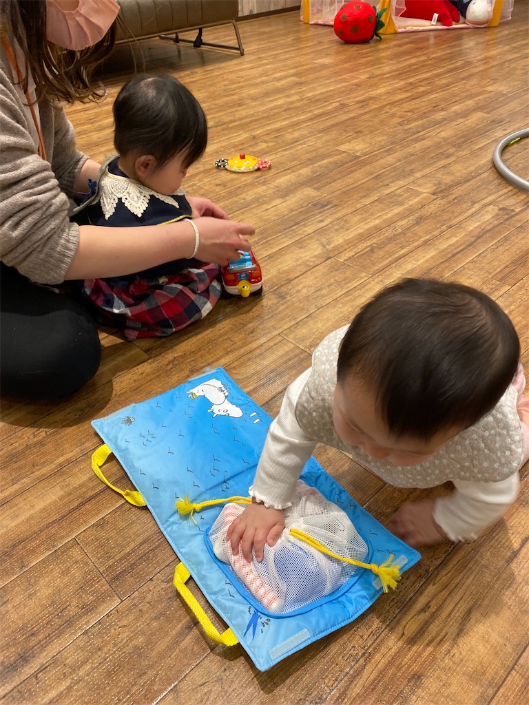 f:id:tochiotomeamao:20230202181708j:image