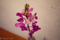 20150821150140