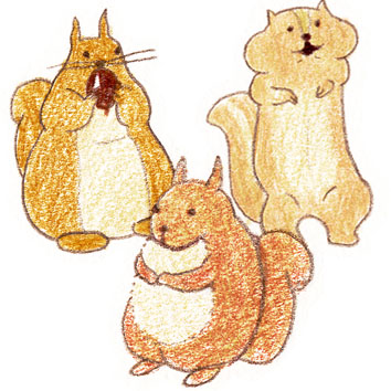 f:id:tocotocokumachan:20171004000411j:plain