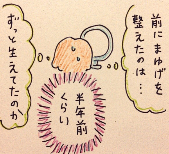 f:id:tocotocokumachan:20180218024019j:plain