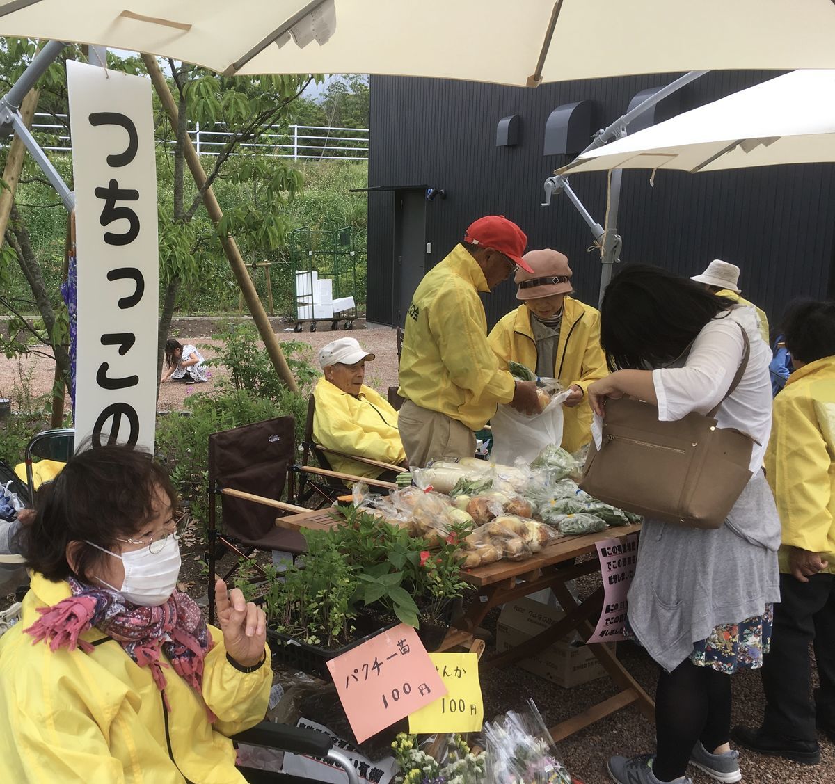 f:id:tocotocokuwana:20190519232950j:plain