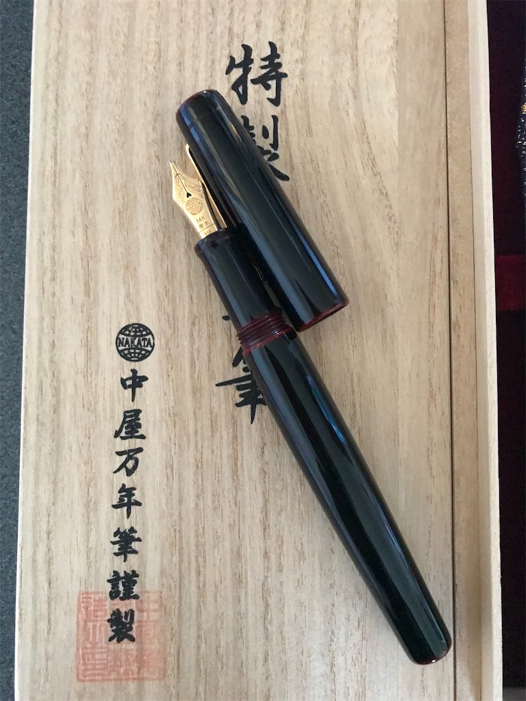 NAKAYA】 中屋万年筆 万年筆 ネオスタンダード 天色 海亀 筆記具