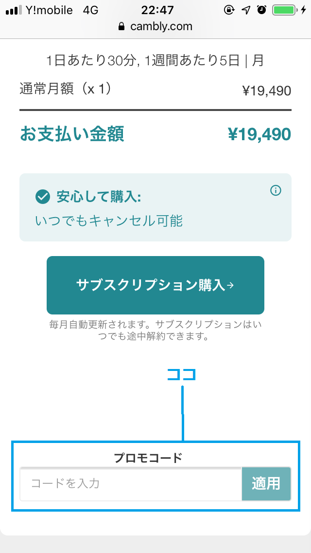キャンブリーブラックフライデーキャンペーン適用方法７