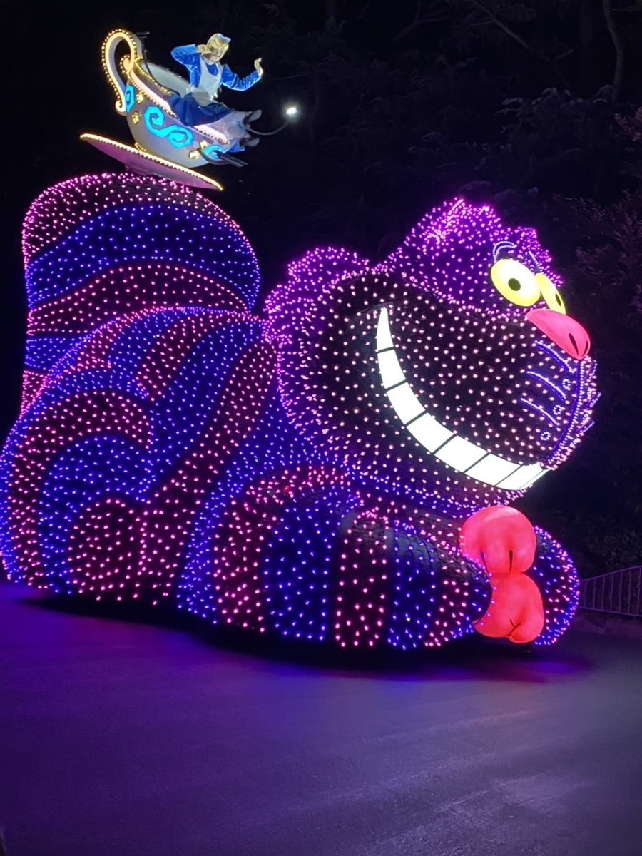 f:id:todai_disney:20211217140757j:plain