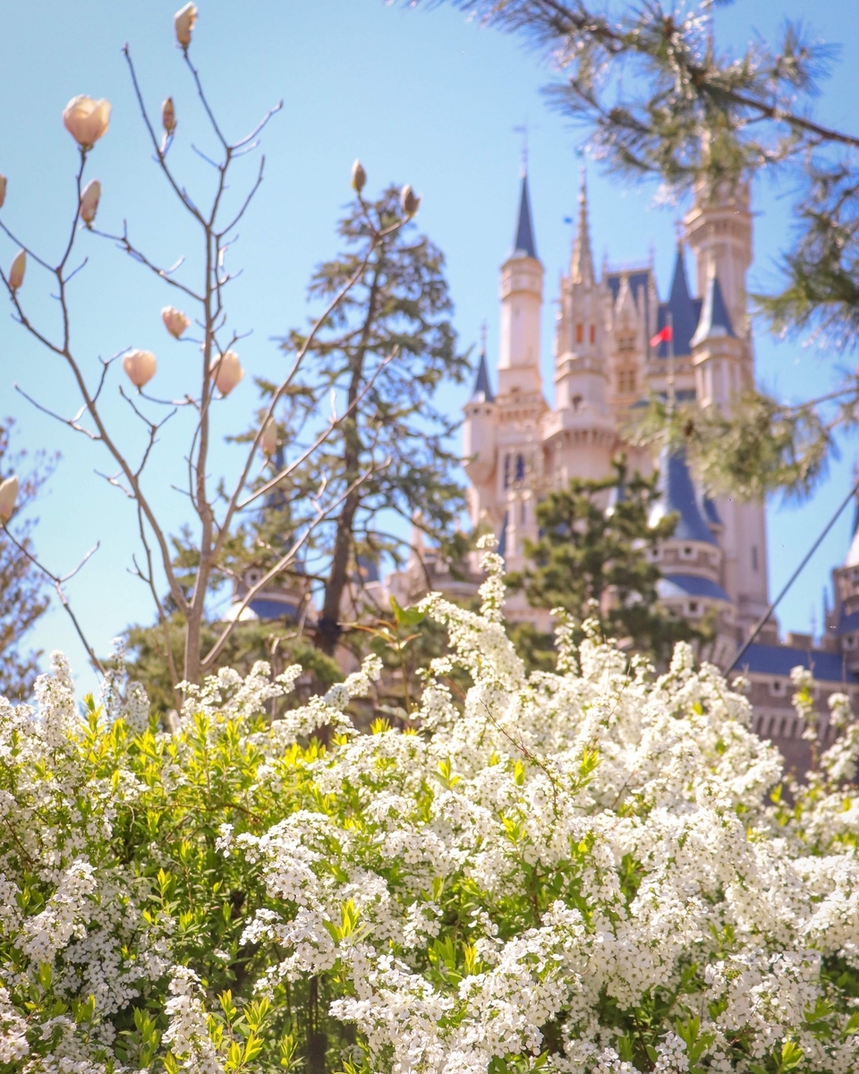 f:id:todai_disney:20220415165722j:plain