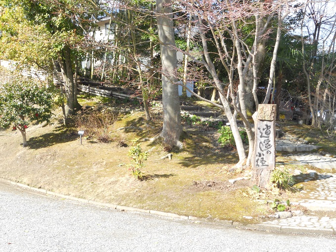イメージ 5