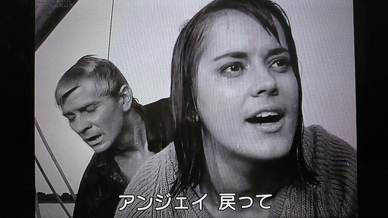 イメージ 33