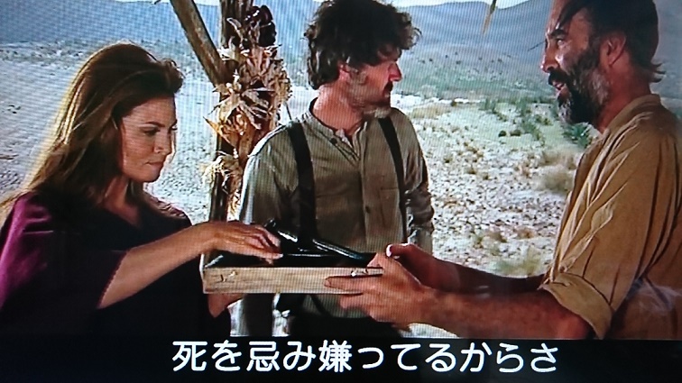 イメージ 13