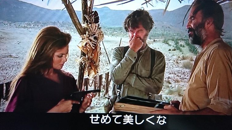 イメージ 14