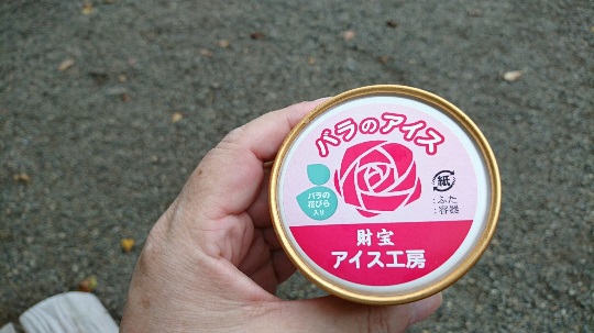 イメージ 7