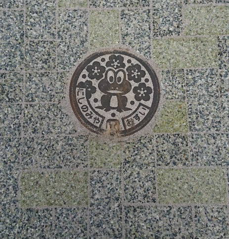イメージ 5
