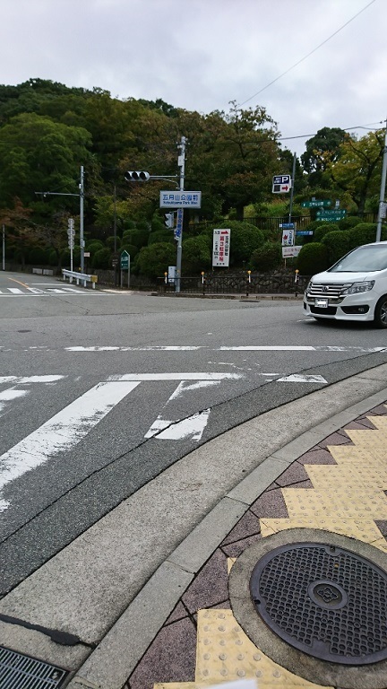 f:id:todorirannpu:20191022035500j:plain f:id:todorirannpu:20191022035500j:plain