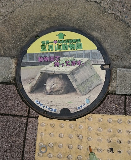 f:id:todorirannpu:20191022035604j:plain f:id:todorirannpu:20191022035604j:plain