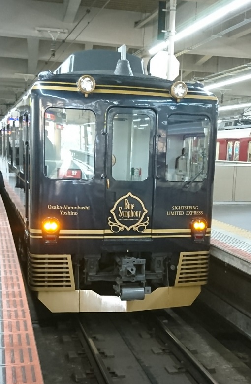 f:id:todorirannpu:20200107000122j:plain f:id:todorirannpu:20200107000122j:plain