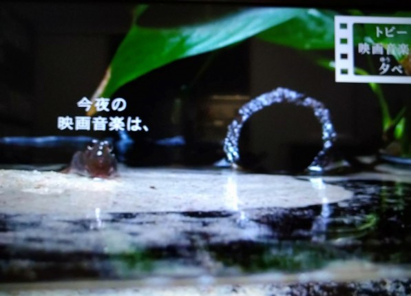 f:id:todorirannpu:20200715162156j:plain f:id:todorirannpu:20200715162156j:plain
