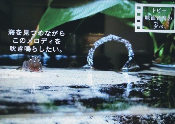 f:id:todorirannpu:20200715162244j:plain f:id:todorirannpu:20200715162244j:plain