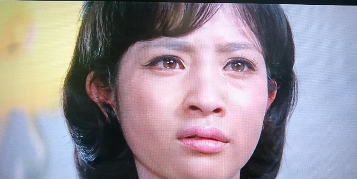 f:id:todorirannpu:20200815094541j:plain f:id:todorirannpu:20200815094541j:plain