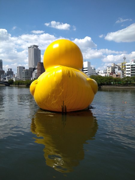 f:id:todorirannpu:20200831211045j:plain f:id:todorirannpu:20200831211045j:plain