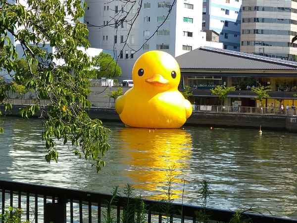 f:id:todorirannpu:20200831211314j:plain f:id:todorirannpu:20200831211314j:plain