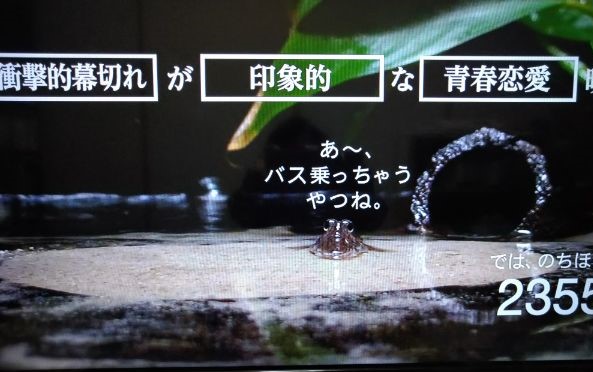 f:id:todorirannpu:20200920000938j:plain