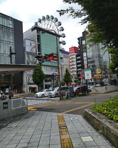 f:id:todorirannpu:20200930122821j:plain f:id:todorirannpu:20200930122821j:plain