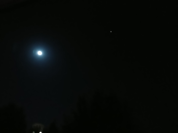 f:id:todorirannpu:20201006013112j:plain