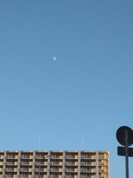 f:id:todorirannpu:20201025215121j:plain