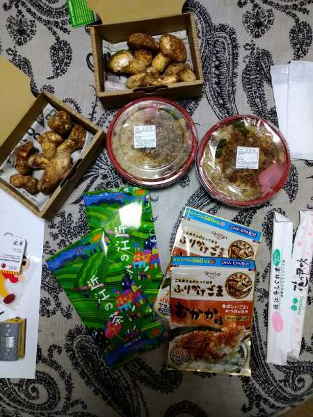 f:id:todorirannpu:20201123125213j:plain
