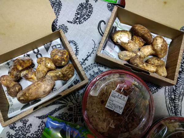 f:id:todorirannpu:20201123125407j:plain