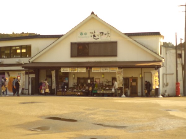 f:id:todorirannpu:20201123151007j:plain