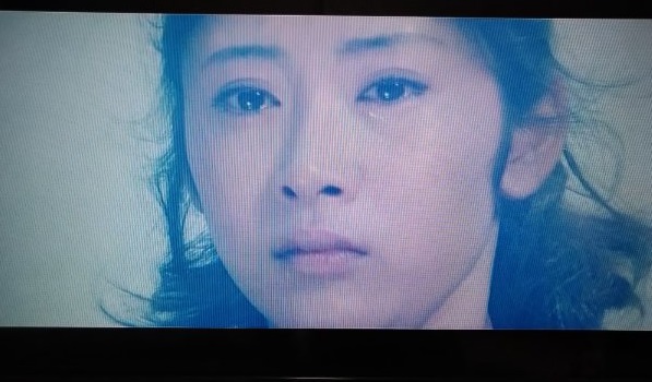 f:id:todorirannpu:20201212012250j:plain