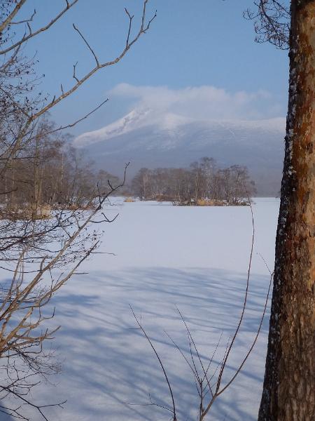 f:id:todorirannpu:20201228111325j:plain