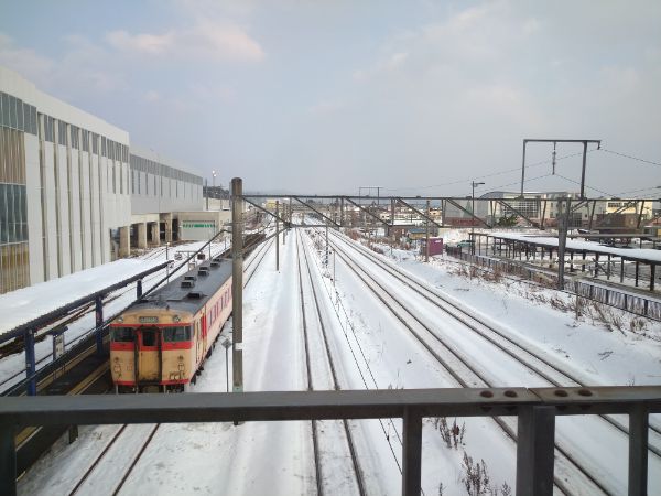 f:id:todorirannpu:20201228115512j:plain